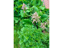 ����� 70�