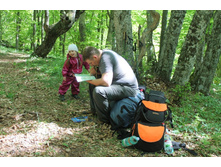 ������ ������