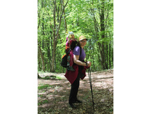 �� �����