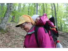 �������������� ���