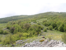 �� ����� ������