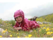 � ������