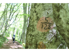 ���� �� 128 ��������