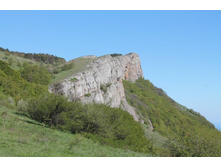 ����� �������