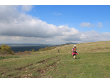 ������ � ����