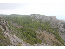 ��� �� ����� �� ������ ���� ���