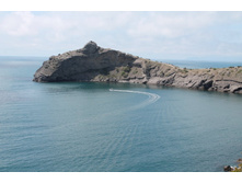 ��� ������