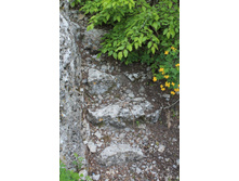 ������� ��������, ������� �� ������� �������