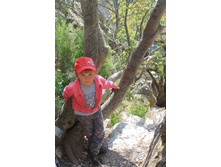 ����� ��� ����������