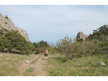 �������� ����� ���������