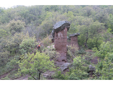 �������� ����� ������ ���� ������