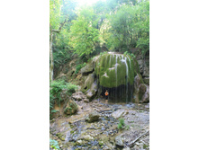 ������� ����������� �����