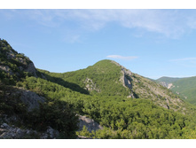 ��� � ������� �������� ������ � �������� �������� ��� ������