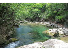 ������� �����