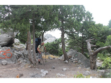 ���� ����� ��� ������