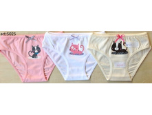 ����� ��� ������� 5025-99.jpg