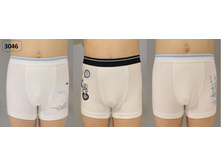 ������� 3046-01.jpg