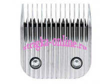 ��� 9 ��,31,5 ����