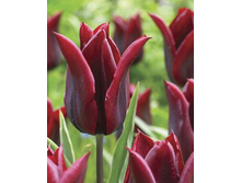 ������� ��� ���� 130,9 ������.