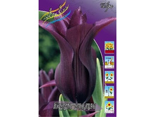 �������� ���� 155,5 ������.