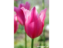 ���� ���� 107,8 ������.