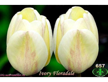 ������ ��������� ���� 127,05 ������.