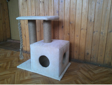 WP_000109.jpg