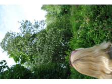 ����� ������