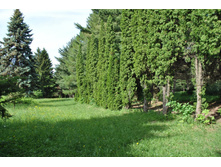 ������ �����