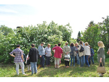 ������������ ������ ��������� � ������ �����