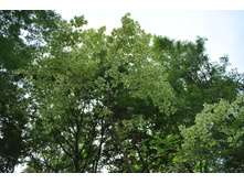 ������������� ����