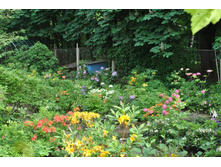 ��������� � �������