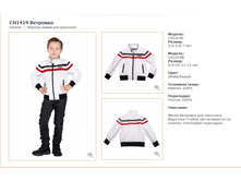 CH1419B	��������	�����_2500 ���_500���