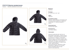 CH1533	������ ����������	������_7000 ���_1000 ���