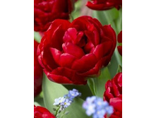 ��� ����� ���� 111,65  ���.jpg