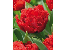 ���� ���� 192,5 ���.jpg