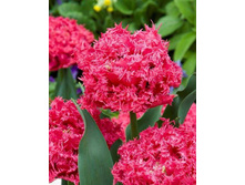 �������� 150,15 ���.jpg