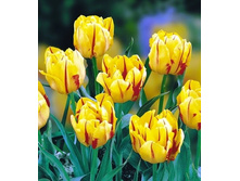 �������� 111,65 ���.jpg