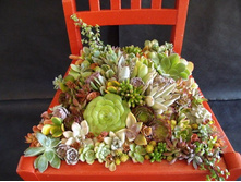 101233509_plantingflowersinchairs12.jpg