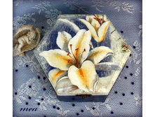 �������� "�����"