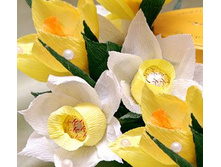 �������� �� ������