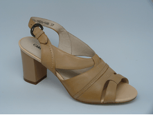 ��������� ������� Car***dinali BP73-1NE8A-1460 ���. (36-40�)