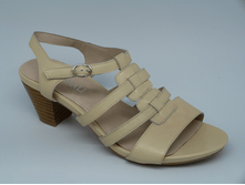 ��������� ������� Card***inali LH229-31-P474-1LD ���. (36-40�)