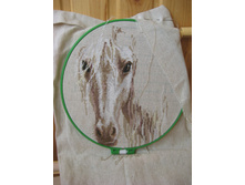 ��� ����������