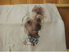 ��� ����������