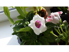 20140601_181715.jpg