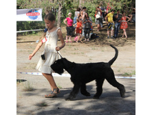 1-IMG_1097.JPG