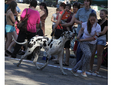 1-IMG_1096.JPG