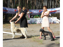 1-IMG_1126.JPG