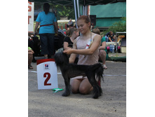 1-IMG_1139.JPG